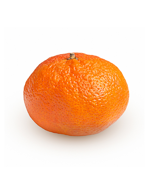 Afourer mandarin-fruit-isolated-on-white-background-s-8WT822S copy