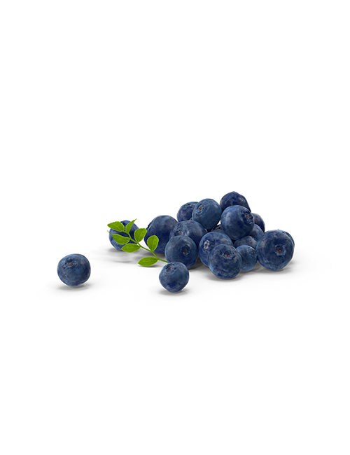 Blueberries.H03.2k copy