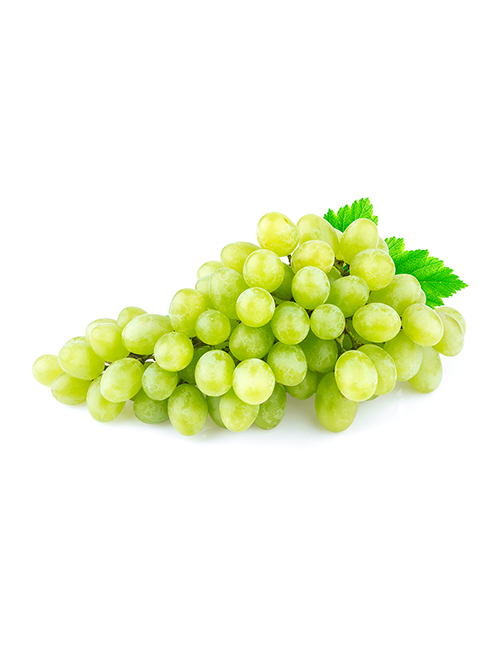 Green Sultana grape-isolated-on-white-background-VRK2ZUN copy