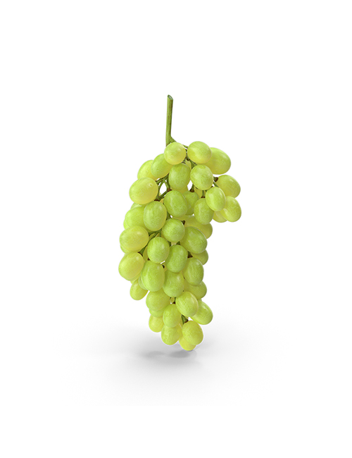 Menindee Seedless Grapes.H03.2k copy