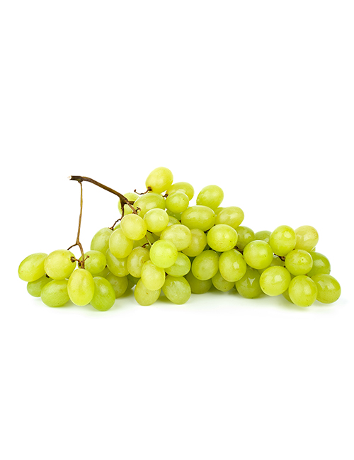 Thompson Seedless grapes-PUAS5N5 copy