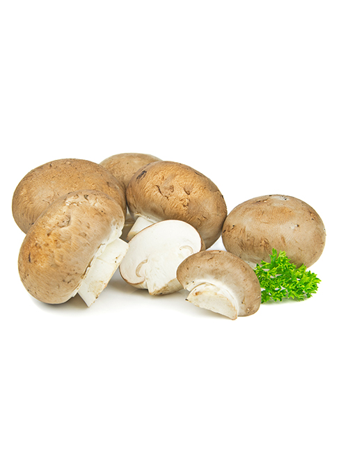 brown-mushrooms-PUGPHU3