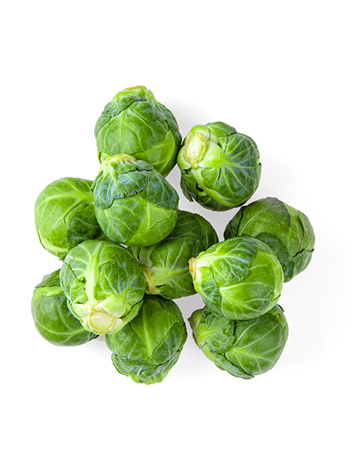 brussel-sprouts-isolated-on-white-background-4W65G4W