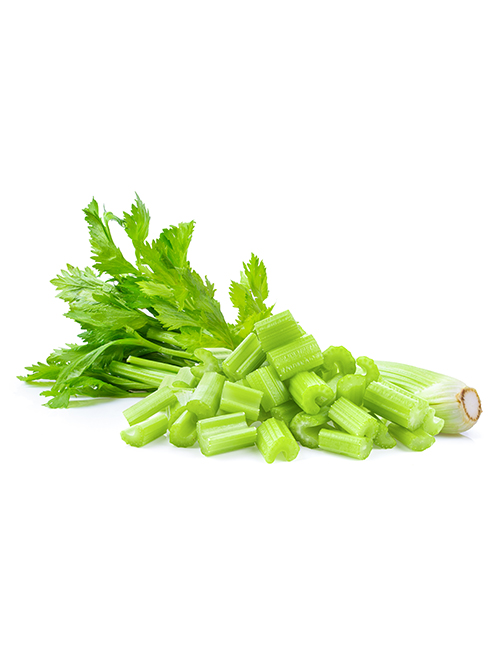 fresh-celery-isolated-on-white-XJFVP2E