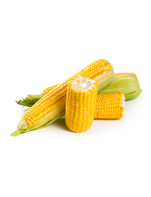 fresh-sweet-corn-PF9FGVS