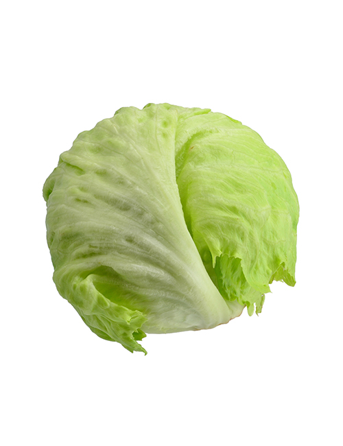 iceberg-lettuce-PWHLHDJ