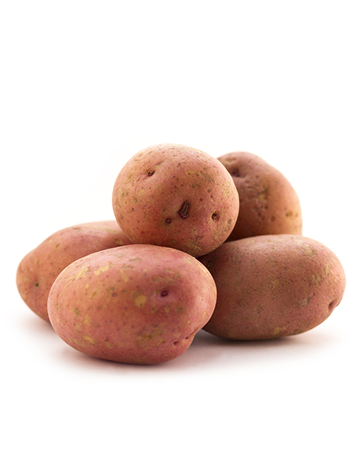 pile-of-potatoes-PNP93NC